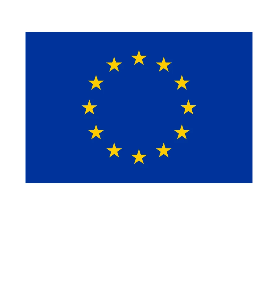 Co-financed by the EU